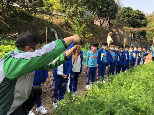 幼高班暢遊金像農埸