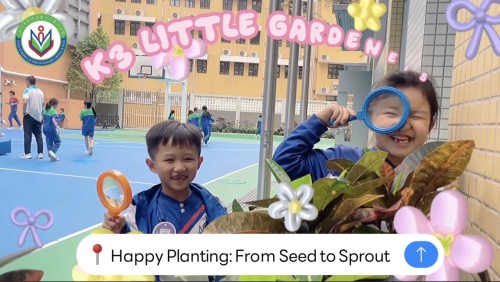 種植樂趣多·種子成長日記—幼高班種植體驗活動