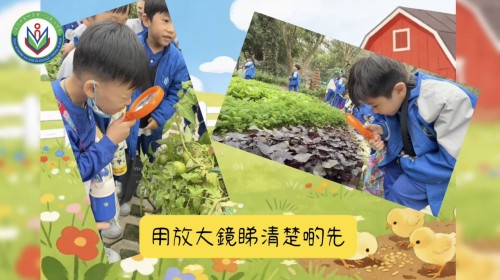 金像農場自然探險之旅