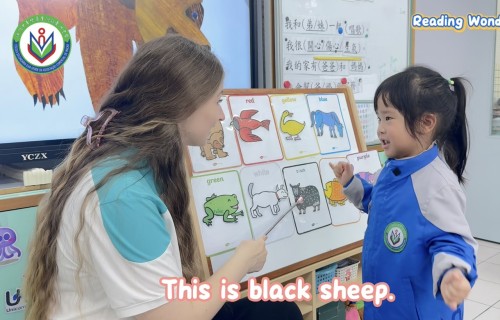 寓教於樂啟蒙英語，點亮學生國際視野
